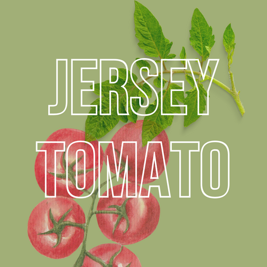 Jersey Tomato Wax Melts