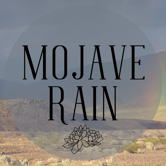 Mojave Rain